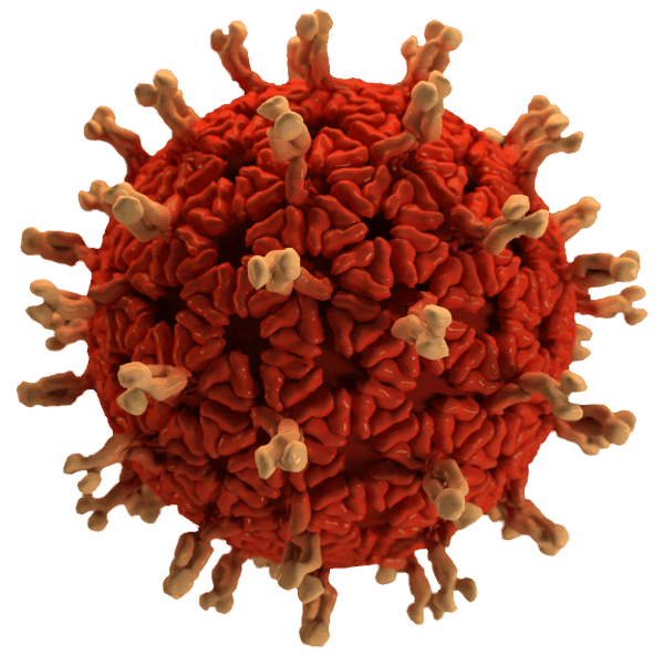 COVID virus cell, clinical research