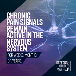 Chronic pain signals remain active in the NERVOUS system