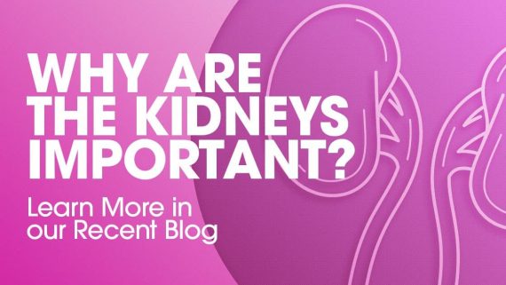 Why are the kidneys important, clinical research