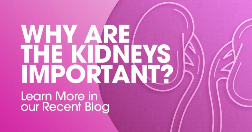 Why are the kidneys important, clinical research