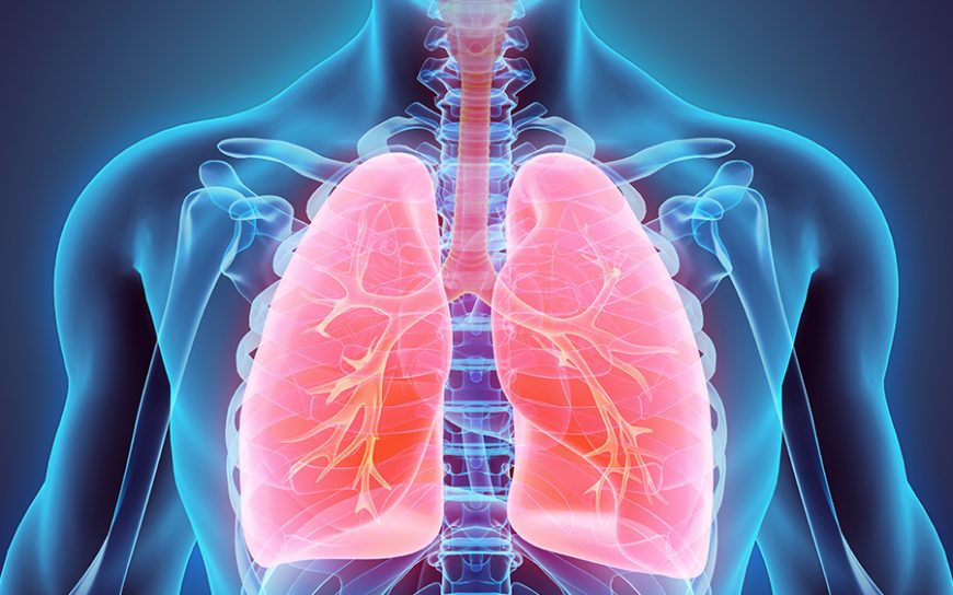 lungs COPD clinical research trial study studies ActiveMed Portsmouth NH Beverly MA Methuen MA